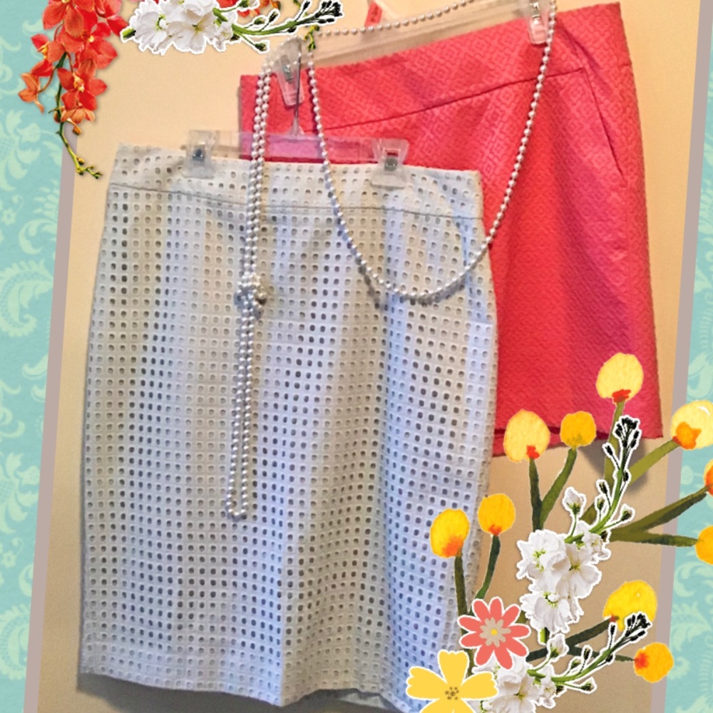 2 Skirts SALE Ann Taylor